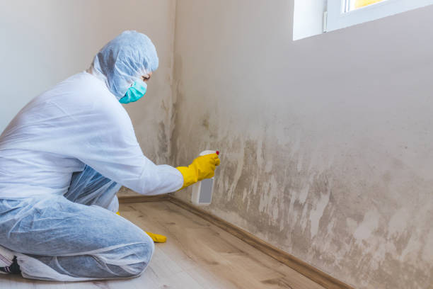 Licensed Crawl Space Mold Remediation service in Park Ridge, NJ - 24 Hour Mold Removal