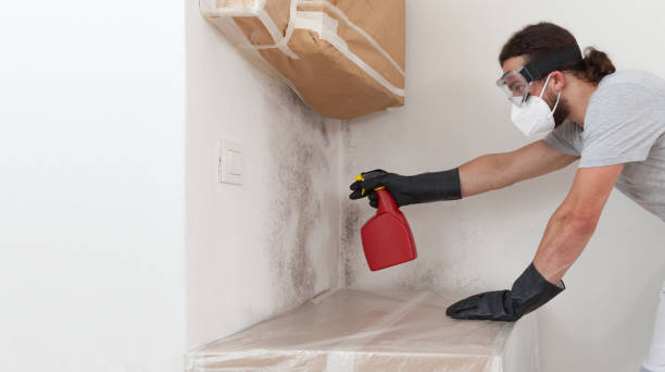 Professional Crawl Space Mold Remediation technician working in Park Ridge, NJ